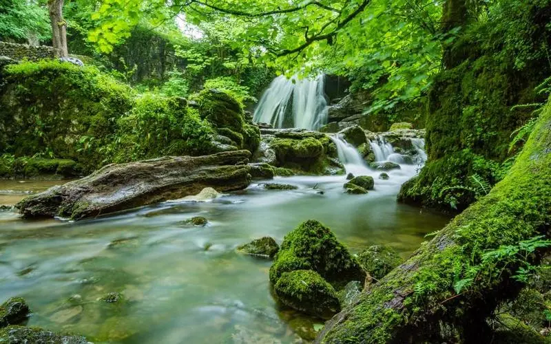 高效稳定性